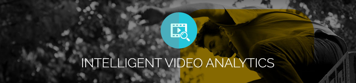 Intelligent Video Analytics